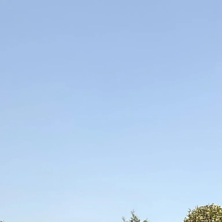 추나요법과 도수치료 차이 안내 이미지