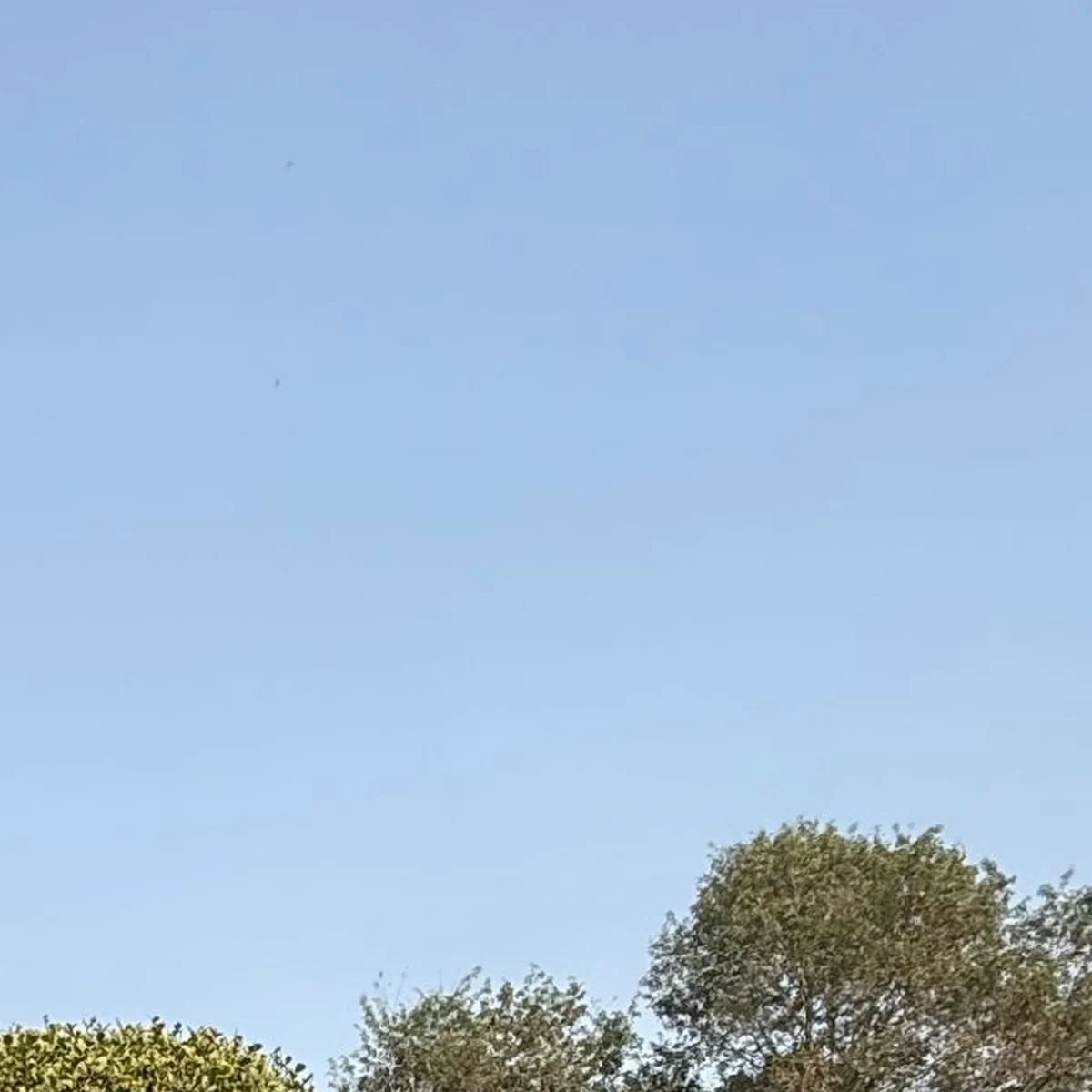 허리 통증 추나요법