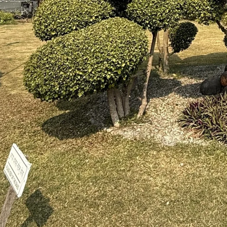 허리디스크 추나요법 주의점 안내 이미지